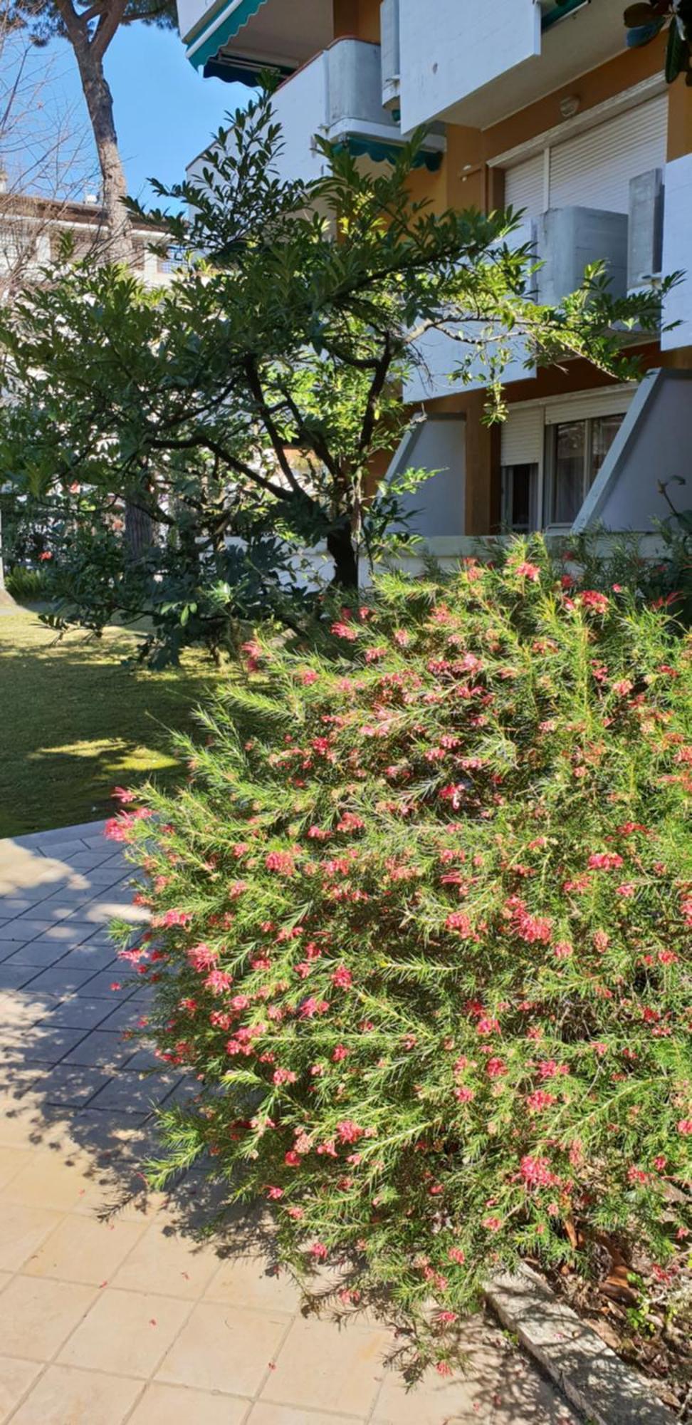 Versilia Apartment Forte dei Marmi Ngoại thất bức ảnh