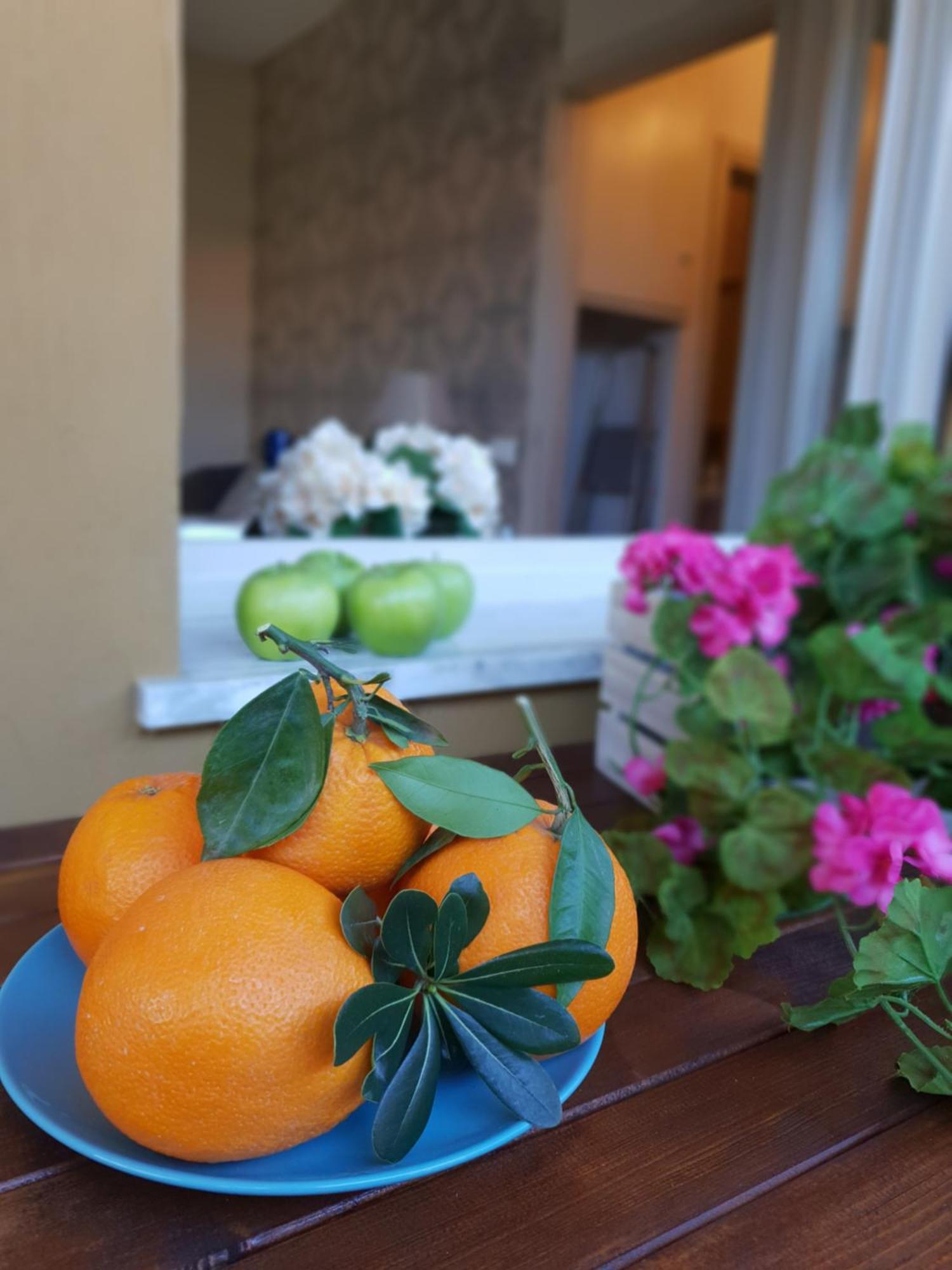Versilia Apartment Forte dei Marmi Ngoại thất bức ảnh